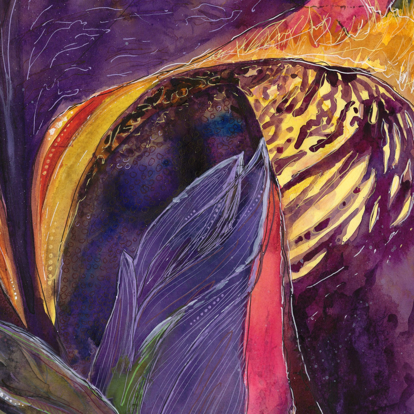 An Iris for Marilynn