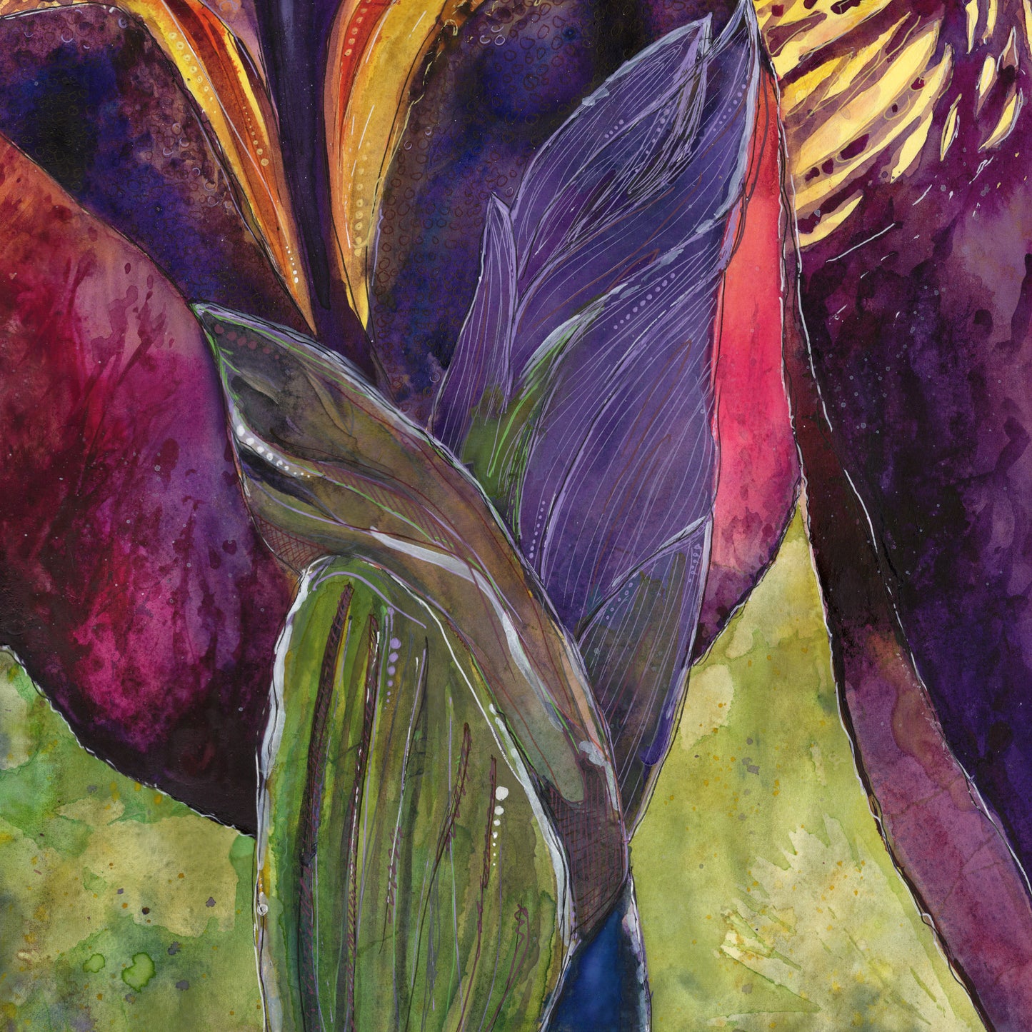 An Iris for Marilynn
