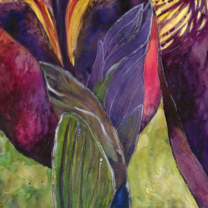 An Iris for Marilynn