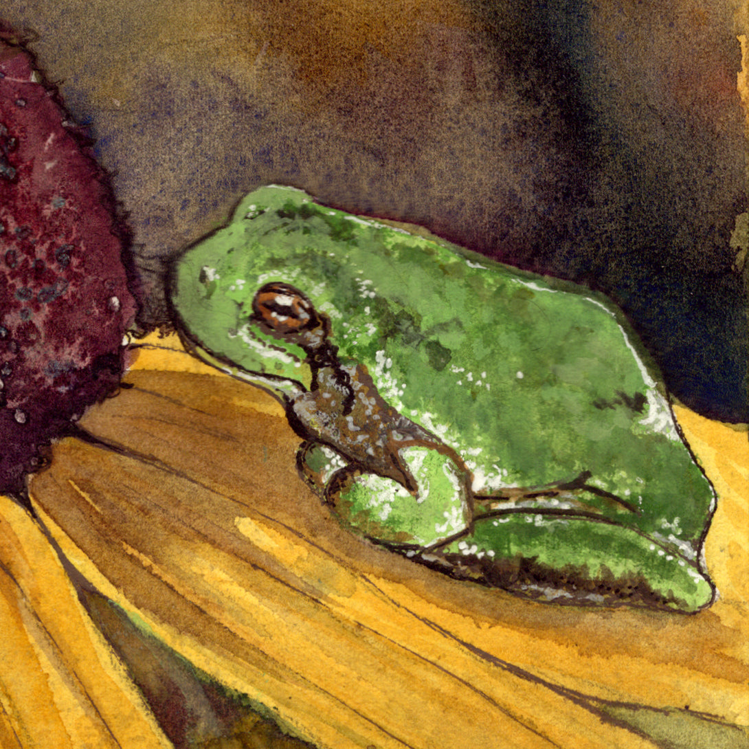 Tree Frog Nose to Nose with Flower