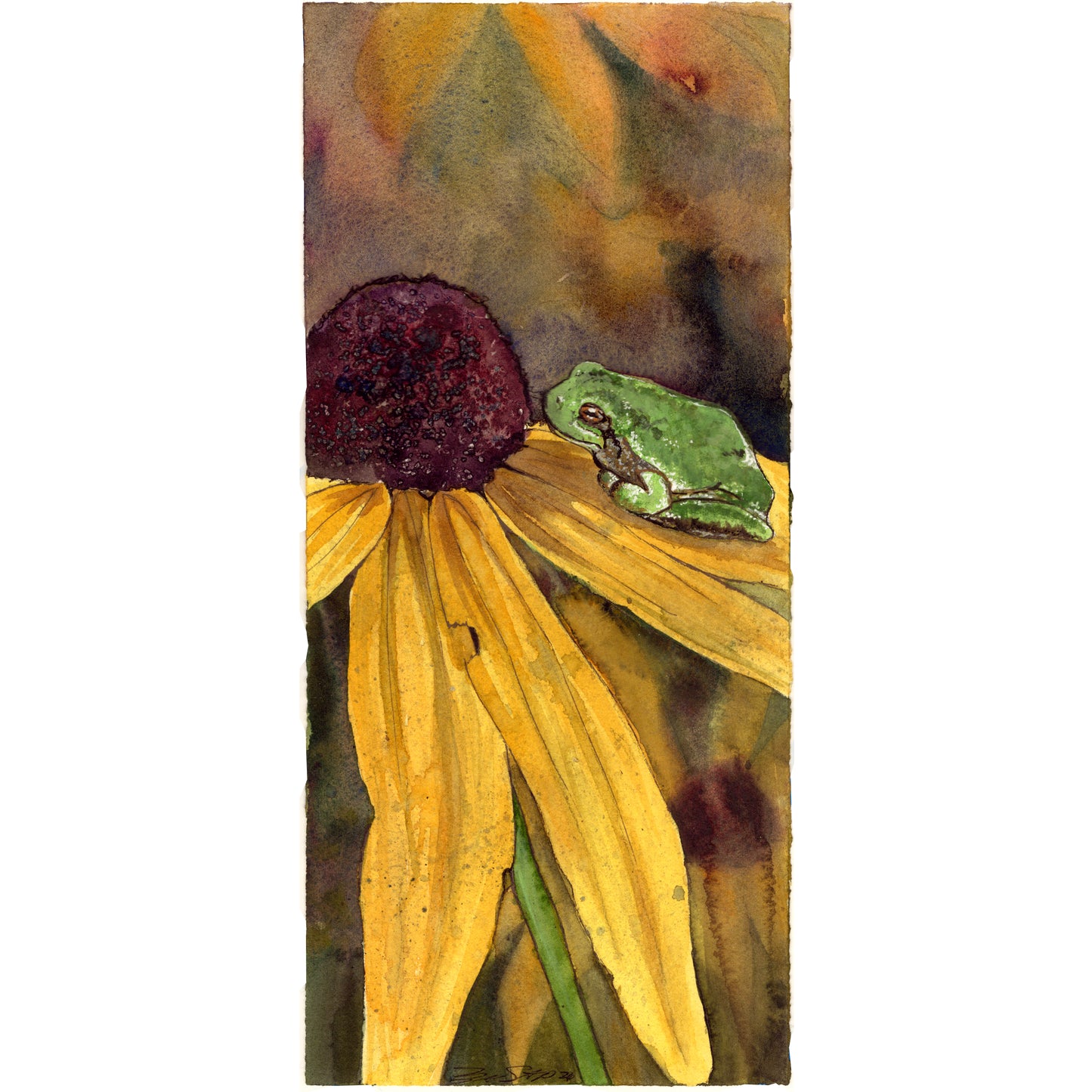Tree Frog Nose to Nose with Flower