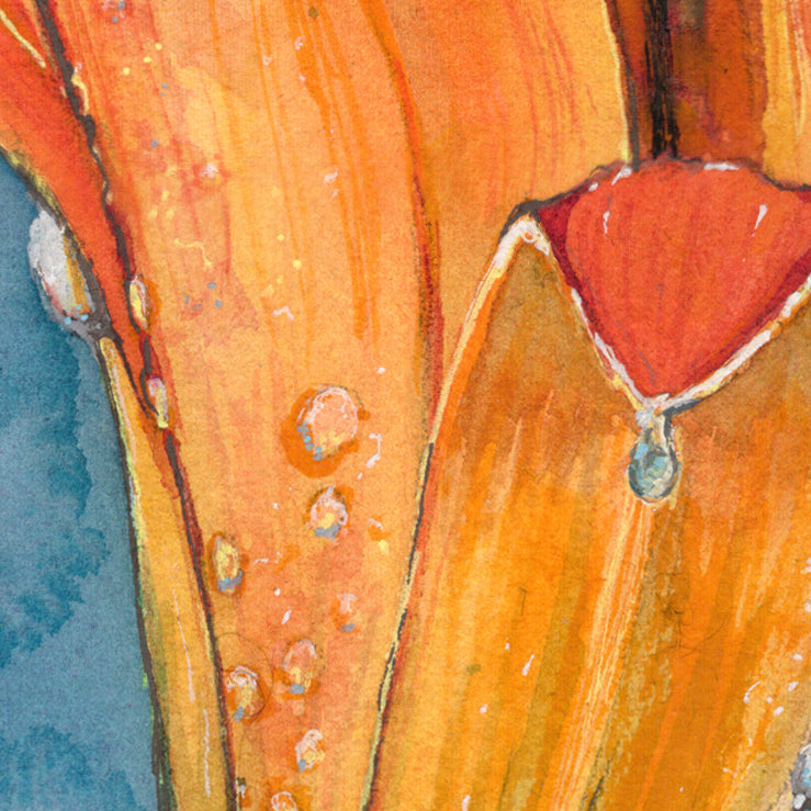 Daylily Dew
