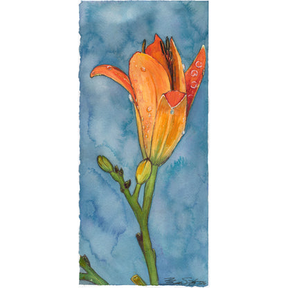 Daylily Dew