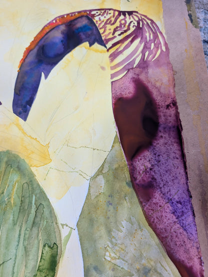 An Iris for Marilynn