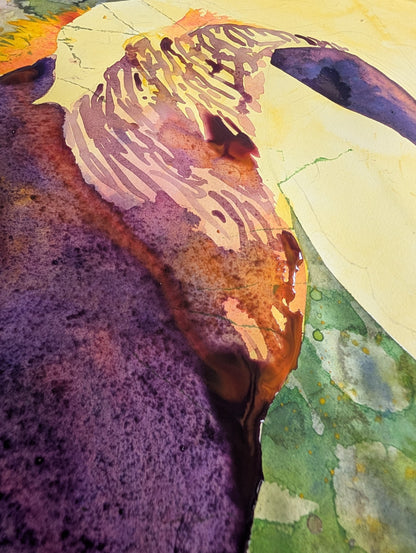 An Iris for Marilynn